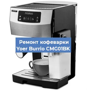 Декальцинация   кофемашины Yoer Burrio CMG01BK в Санкт-Петербурге